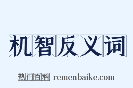 机智反义词是什么意思的图片